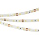 Лента светодиодная RTW 2-5000SE 12V Cool (2835, 300 LED, PRO)  020516  Arlight