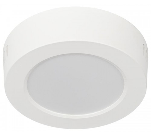 Светильник светодиодный LED 19-12-4K накладной круглый 12Вт 4000К  Б0057447  ЭРА
