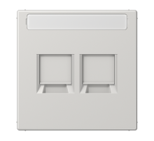 Плата (фиксация защёлкиванием) для двух модулей с полем для надписи; термопласт; светло-серый  LS1969-25NAWELG  Jung