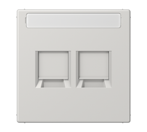 Плата (фиксация защёлкиванием) для двух модулей с полем для надписи; термопласт; светло-серый  LS1969-25NAWELG  Jung