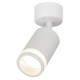 Светильник настенно-потолочный спот OL23 WH MR16/GU10, белый  Б0054396  ЭРА