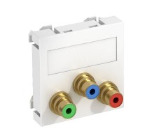 Мультимедийная рамка Video-Cinch Modul45 (белый) (MTG-3R L RW1)  6105114  OBO Bettermann