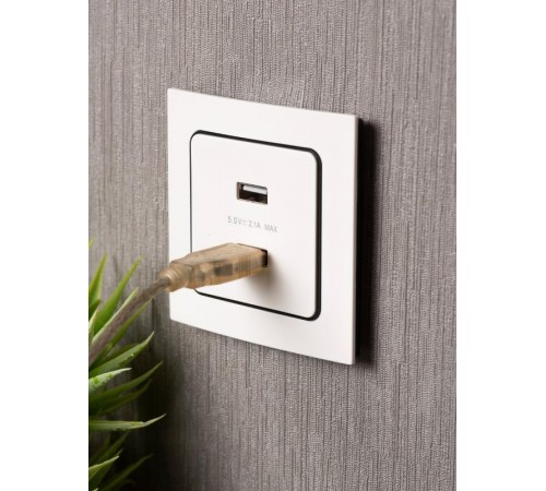 Стокгольм Механизм Розетки USB 2-местной 2,1А белый PROxima  EYR16-028-10-2USB  EKF