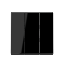 Тройная клавиша для балансирных механизмов выключателей (кнопок); термопласт; черный; A500  A593BFSW  Jung