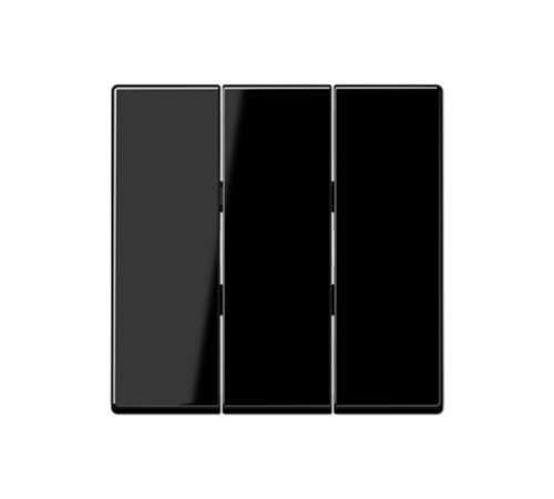 Тройная клавиша для балансирных механизмов выключателей (кнопок); термопласт; черный; A500  A593BFSW  Jung