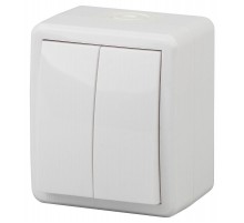 Выключатель 2-клавишный 11-1404-01 IP54, 10АХ-250В, ОУ, Эксперт, Белый Б0020675  ЭРА