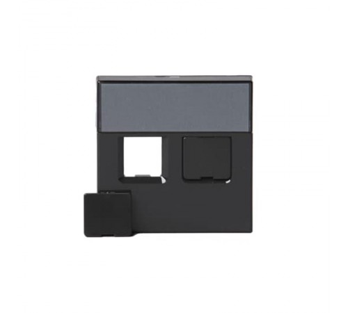 Накладка для 2хRJ45, Impressivo, антрацит  1819-81   2TKA000605G1  ABB