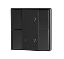 Кнопочная панель 4-х кл. (2 группы), пластиковый корпус, черный DA-SW-G2-PB  DA-SW-G2-PB  VARTON