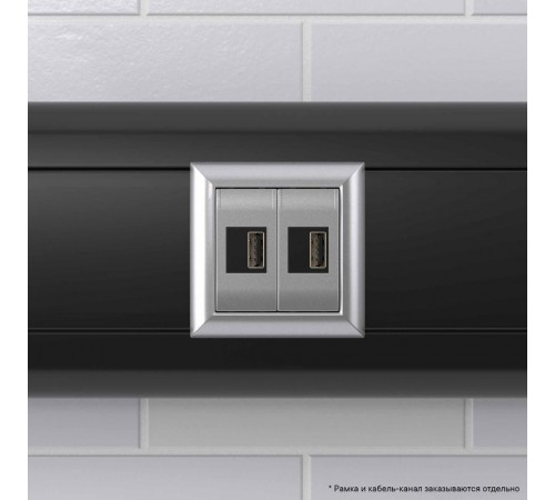 USB зарядное устройство модульное, "Avanti", "Закаленная сталь", 2модуля  4404542  DKC