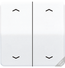 Клавиши для сдвоенной кнопки BCU; светло-серые CD595MPLG Jung