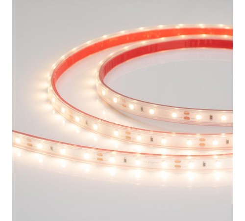 Лента светодиодная герметичная RTW-PS-A60-10mm 12V Warm3000 (4.8 W/m, IP67, 2835, 5m) (arlight, -)  021101(2)  Arlight