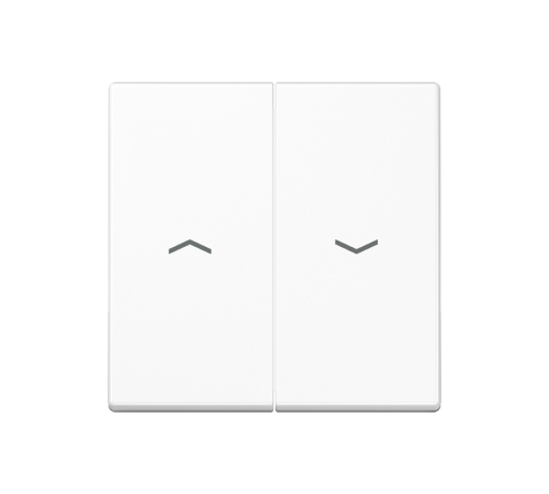 2-я клавиша с символами "стрелки" для баланс. мех. выкл. (кнопок), в компл с AS90-5HP , возможно IP44; дюропласт; белый; A500 A595PWW  Jung