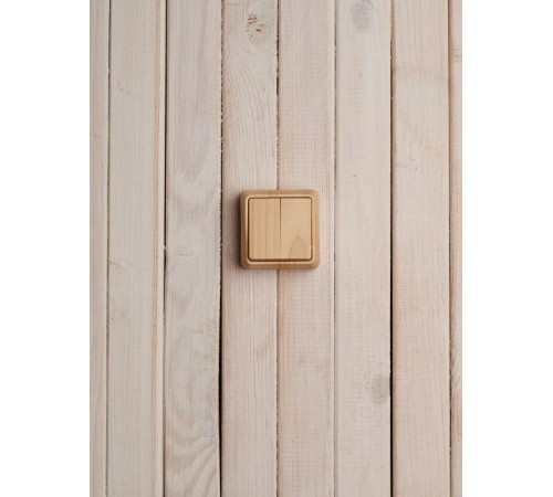 ОКТАВА сосна Выключатель 2-клавишный О/У 10А ВС20-2-0-ОС  EVO20-K03-10-DC  GENERICA