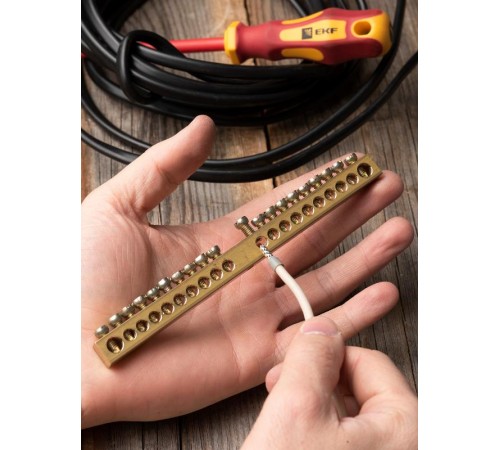 Шина PEN "ноль-земля" (8х12мм) 20 отверстий латунь крепеж по центру EKF PROxima  sn0-125-20-c  EKF