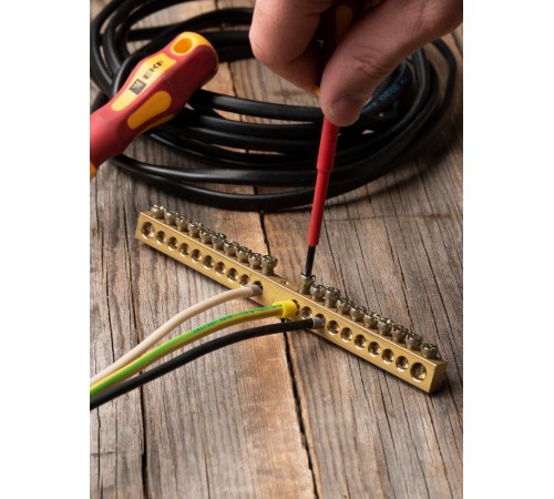 Шина PEN "ноль-земля" (8х12мм) 20 отверстий латунь крепеж по центру EKF PROxima  sn0-125-20-c  EKF