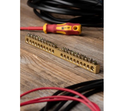 Шина PEN "ноль-земля" (8х12мм) 20 отверстий латунь крепеж по центру EKF PROxima  sn0-125-20-c  EKF