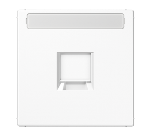 Плата (фиксация защёлкиванием) для одного модуля с полем для надписи; термопласт; белый  LS1969-15NAWEWW  Jung