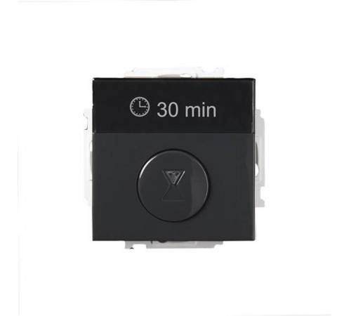 Выключатель с таймером 16А 230В, Impressivo, антрацит  T210-81   2TKA00000877  ABB