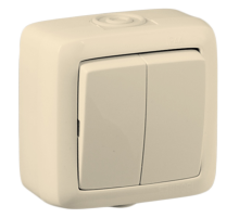 Выключатель открытой установки, двухклавишный, брызгозащищенный, цвет слоновая кость  ВА16-251-01  HEGEL