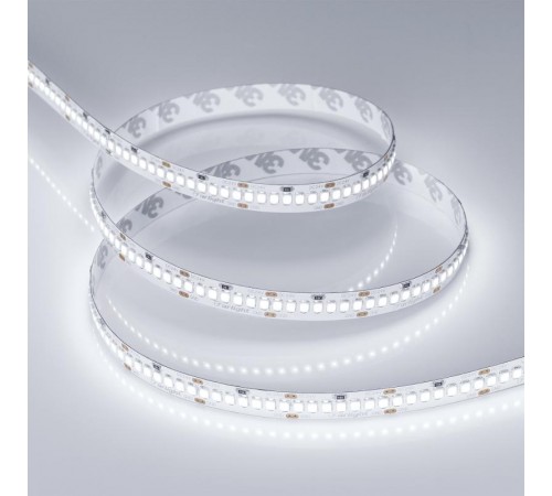 Лента светодиодная RT 2-5000 24V White6000 10mm (2835, 252 LED/m, LUX)  022648  Arlight
