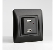 Розетка 2xUSB A, 125-250V (антрацит)  201026  SPL