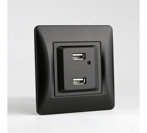 Розетка 2xUSB A, 125-250V (антрацит)  201026  SPL