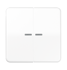 Клавиши для сдвоенных выключателей с подсветкой; белые  CD595KO5WW  Jung