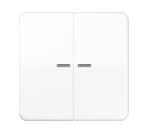 Клавиши для сдвоенных выключателей с подсветкой; белые  CD595KO5WW  Jung