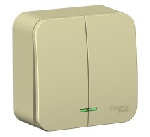 Blanca Бежевый О/У с изолирующей пластиной Выключатель 2-кл (cх.5) с подсв.10А,250B  BLNVA105117  SE