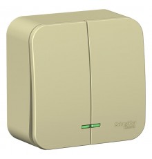 Blanca Бежевый О/У с изолирующей пластиной Выключатель 2-кл (cх.5) с подсв.10А,250B  BLNVA105117  SE