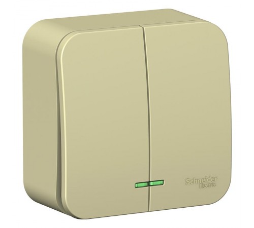 Blanca Бежевый О/У с изолирующей пластиной Выключатель 2-кл (cх.5) с подсв.10А,250B  BLNVA105117  SE