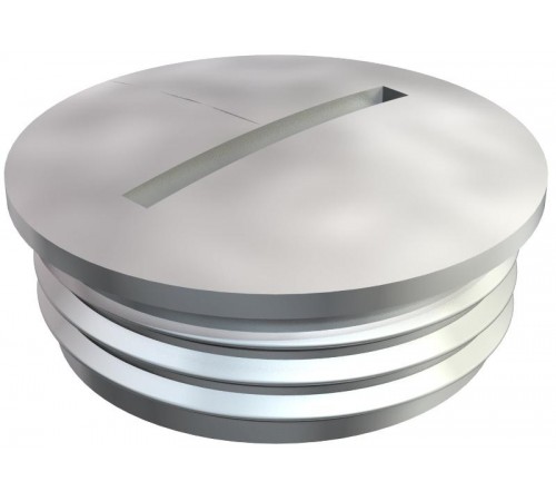 Заглушка, латунь PG36  2090368  OBO Bettermann