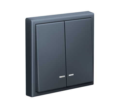 ArtGallery Грифель Выключатель 2-клавишный с подсветкой, сх.5а, 10АХ, механизм  GAL000753  SE