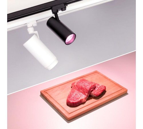 Светильник LGD-GERA-4TR-R90-30W Warm SP2900-Meat (WH, 24 deg, 230V) (Arlight, IP20 Металл, 3 года)  032475  Arlight