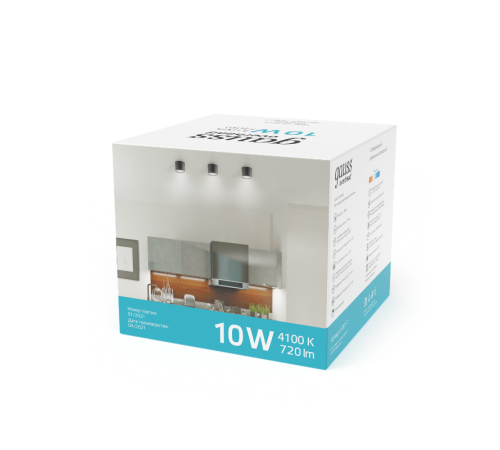 Светильник светодиодный декоративный бытовой с рассеивателем HD020 10W (хром сатин) 4100K 88х75мм  HD020  Gauss