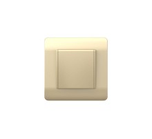 Розетка с/з со шторками с крышкой, 16А, IP44, шампань(NEW3-E)  431448  CHINT