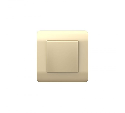 Розетка с/з со шторками с крышкой, 16А, IP44, шампань(NEW3-E)  431448  CHINT