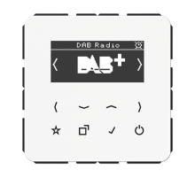 Цифровое радио DAB + DABCDWW Jung