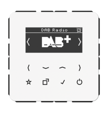 Цифровое радио DAB + DABCDWW Jung