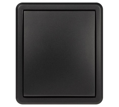 Выключатель ЭРА Эксперт 11-1201-05 10АХ-250В IP20 ОУ Антрацит  Б0062989  ЭРА