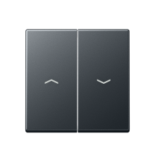 Двойная клавиша с символами "стрелки" для балансирных механизмов выключателей (кнопок), в комплекте с AS90-5HP (крепежный элемент), возможно IP44; тер