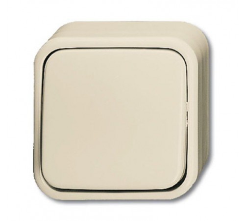 Выключатель 1-клавишный, 2-полюсный для открытого монтажа, серия Busch-Duro 2000 AP, цвет слоновая кость  1042-0-0654  2CKA001042A0654  ABB