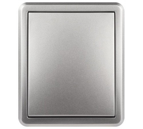 Переключатель Эксперт 11-1203-03 10АХ-250В IP2 ОУ Алюминий  Б0062990  ЭРА