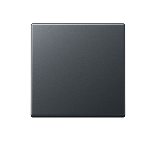 Одинарная клавиша для балансирных механизмов выключателей (кнопок), в комплекте с AS90HP (крепежный элемент), возможно IP44; термопласт; матовый антра