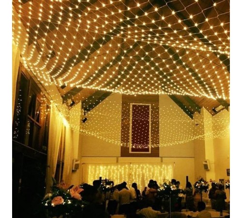 Светодиодная гирлянда ARD-NETLIGHT-HOME-1500x1500-CLEAR-150LED Blue (230V, 12W)  024672  Arlight