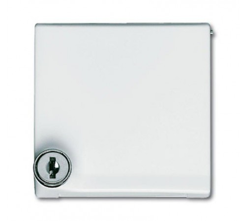 Плата промежуточная с крышкой для центр. плат , с индивидуальным зам., IP44, серия Allwette 44, цвет сл. кость  1710-0-2298   2CKA001710A2298  ABB