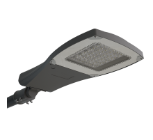 Светильник светодиодный консольный уличный ДКУ 66-240-002 Viking 740  1249124002  АСТЗ