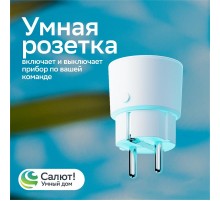 Умная розетка  SBDV-00123W  Sber
