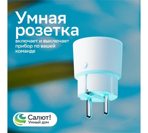 Умная розетка  SBDV-00123W  Sber