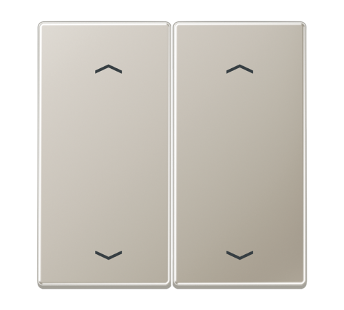 Клавиша для кнопки BCU; благородная сталь ES2995MP Jung